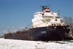 Thumbnail Image for Algoport