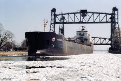 Thumbnail Image for Algoport