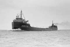 Thumbnail Image for Raymond H. Reiss