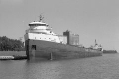 Thumbnail Image for Rimouski