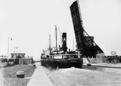 Thumbnail Image for Brown Beaver