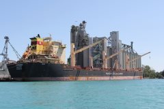 Thumbnail Image for Vitosha