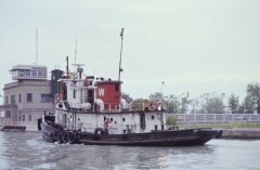 Thumbnail Image for Princess No. 1