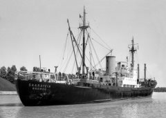 Thumbnail Image for Saarstein