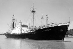 Thumbnail Image for Saarstein