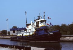 Thumbnail Image for Princess No. 1