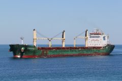 Thumbnail Image for Chestnut