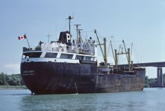 Thumbnail Image for Labradoc