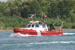 Thumbnail Image for Shark