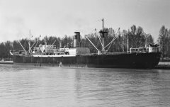 Thumbnail Image for Teresa