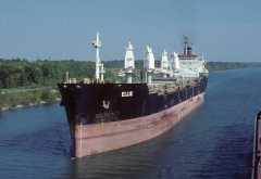 Thumbnail Image for Ellie