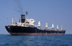 Thumbnail Image for Ellie oncontextmenu=