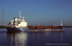 Thumbnail Image for Ledastern