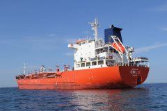 Thumbnail Image for Owl 3 oncontextmenu=