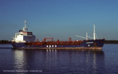 Thumbnail Image for Ledastern