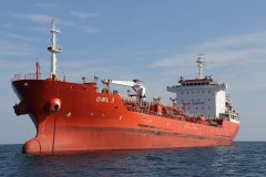 Thumbnail Image for Owl 3 oncontextmenu=