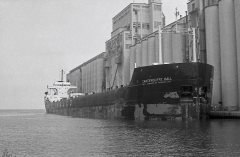 Thumbnail Image for Cartiercliffe Hall