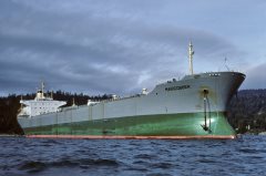 Thumbnail Image for Maricobber