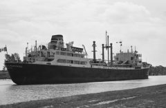 Thumbnail Image for Marie Angela Martinoli