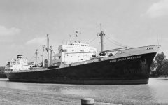 Thumbnail Image for Maria Angela Martinoli