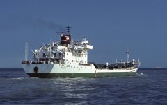 Thumbnail Image for Zabat Dos