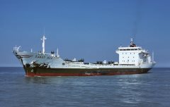 Thumbnail Image for Zabat Dos