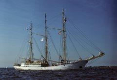 Thumbnail Image for Zawisza Czarny