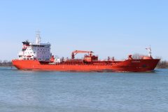 Thumbnail Image for Algoluna oncontextmenu=