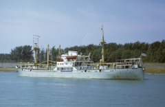 Thumbnail Image for Xeny