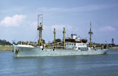 Thumbnail Image for Xeny