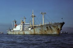 Thumbnail Image for Xin Yang