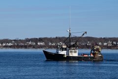 Thumbnail Image for Nicole Leigh