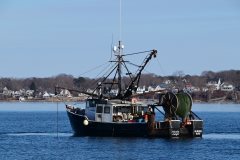 Thumbnail Image for Nicole Leigh