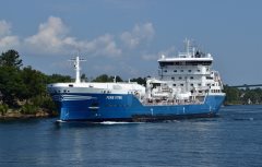 Thumbnail Image for Fure Viten