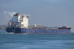 Thumbnail Image for Algoma Bear oncontextmenu=