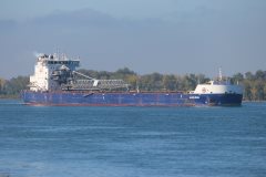 Thumbnail Image for Algoma Bear oncontextmenu=