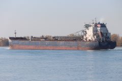 Thumbnail Image for Algoma Niagara