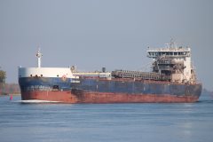 Thumbnail Image for Algoma Niagara