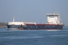 Thumbnail Image for Algoma Strongfield