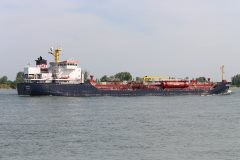 Thumbnail Image for Algonova