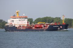 Thumbnail Image for Algonova