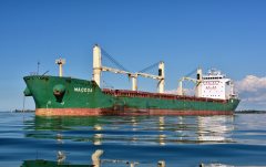 Thumbnail Image for Maccoa oncontextmenu=