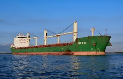 Thumbnail Image for Maccoa oncontextmenu=