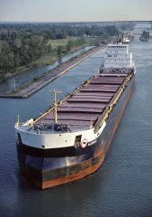 Thumbnail Image for Algowest style=