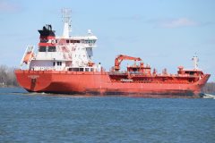 Thumbnail Image for Algoterra oncontextmenu=