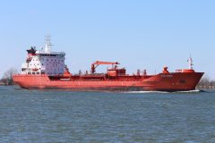 Thumbnail Image for Algoterra oncontextmenu=