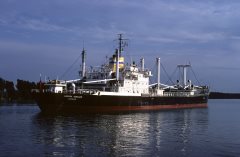 Thumbnail Image for London Fusilier