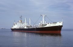 Thumbnail Image for London Fusilier