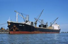 Thumbnail Image for Darya Ma