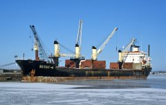 Thumbnail Image for Necat-A